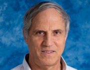 Professor Avi Domb