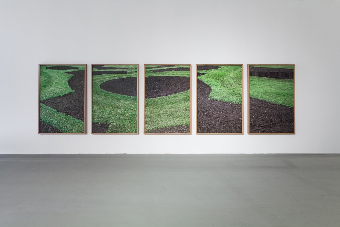 יאיר ברק, דשא ירוק, אדמה חומה , 5 הדפסות דיו פיגמנטי, 2014