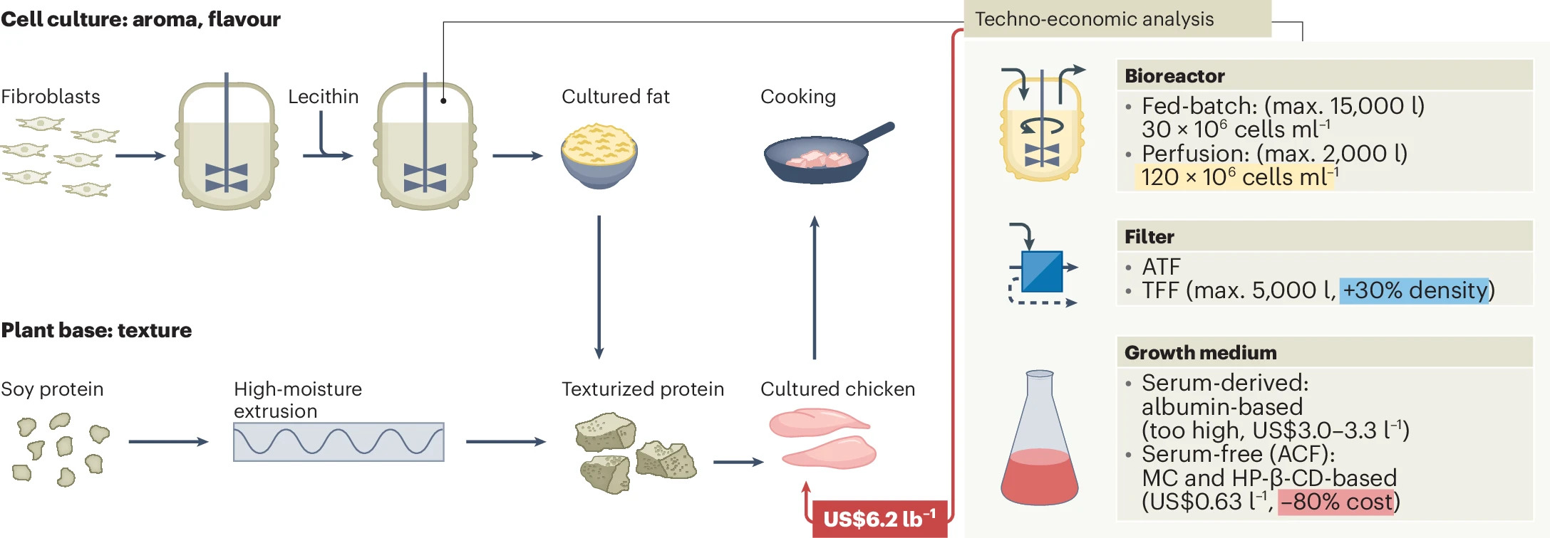 Continuous Manufacturing of Cultivated Meat