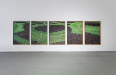 יאיר ברק, דשא ירוק, אדמה חומה , 5 הדפסות דיו פיגמנטי, 2014