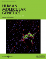 Isl1 mediates mesenchymal expansion in the developing external genitalia via regulation of Bmp4, Fgf10 and Wnt5a