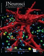 Human iPS cell-derived neurons uncover the impact of increased ras signaling in costello syndrome