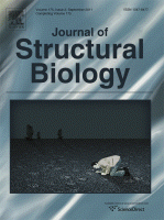 The canine baculum: The structure and mechanical properties of an unusual bone