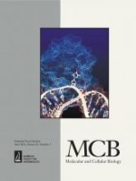 Loss of osteoblast Runx3 produces severe congenital osteopenia