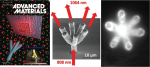 3D Printing of Micrometer‐Sized Transparent Ceramics with On‐Demand Optical‐Gain Properties 3D Printing of Micrometer‐Sized Transparent Ceramics with On‐Demand Optical‐Gain Properties