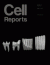 Continuously Growing Rodent Molars Result from a Predictable Quantitative Evolutionary Change over 50 Million Years