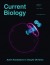 Tendon homeostasis: The right pull