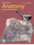 Structural and functional anatomy of the neck musculature of the dog (Canis familiaris)