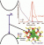 Defect luminescence from wurtzite CuInS2 nanocrystals: combined experimental and theoretical analysis