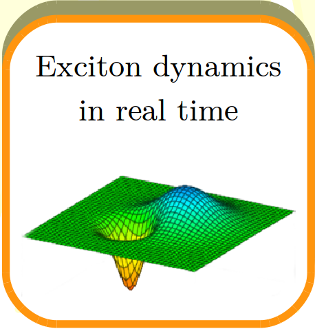 Exciton Dynamics with Real-Time TDDFT