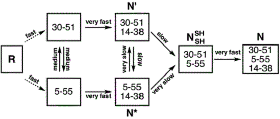 Graphical Abstract