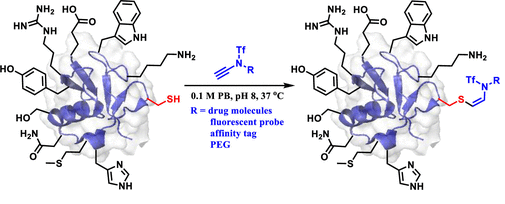 peptide_and_protein_cysteine_modification_enabled_by_hydrosulfuration_of_ynamide.png