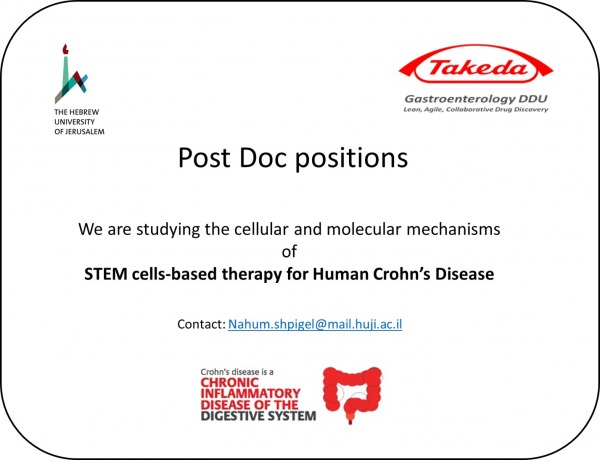 PostDocs