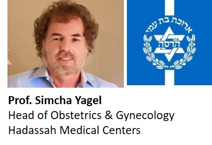 Simcha Yagel