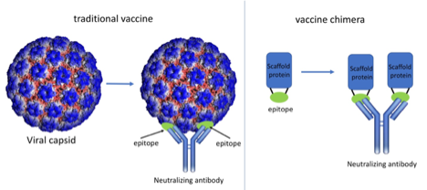 vaccine