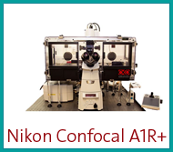 Nikon Confocal A1r