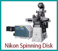 nikon_spinning_disk