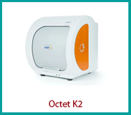 octet