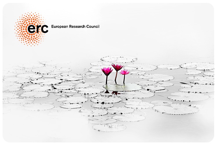 קרן ERC תשקיע 6 מיליון אירו בשלושה חוקרים בוגרי העברית ERC Grant