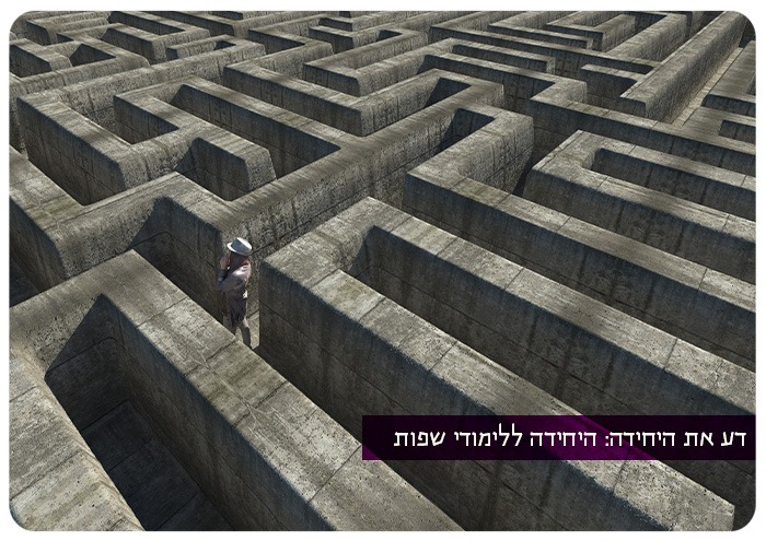 Meet The Unit - Languages Studies