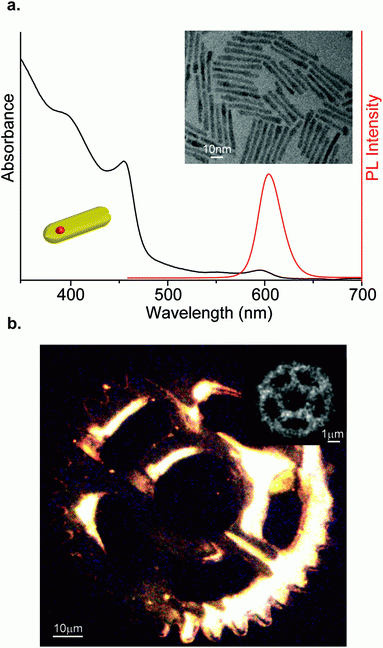nanoscale2019