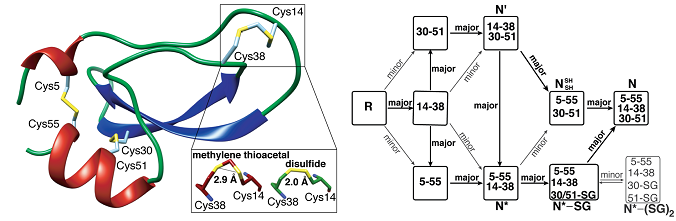 Graphical Abstract