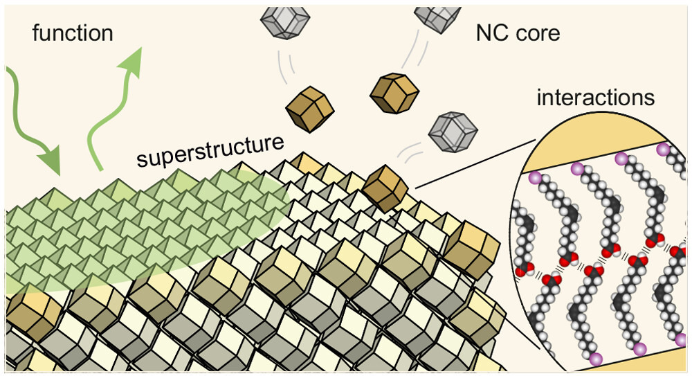 NCs_assemblies