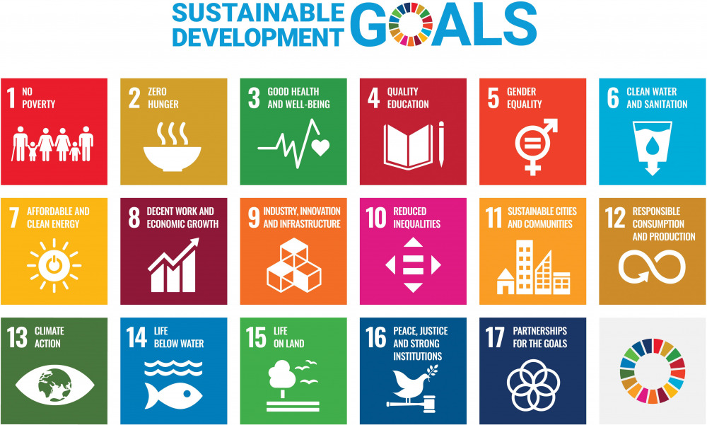 the SDG's