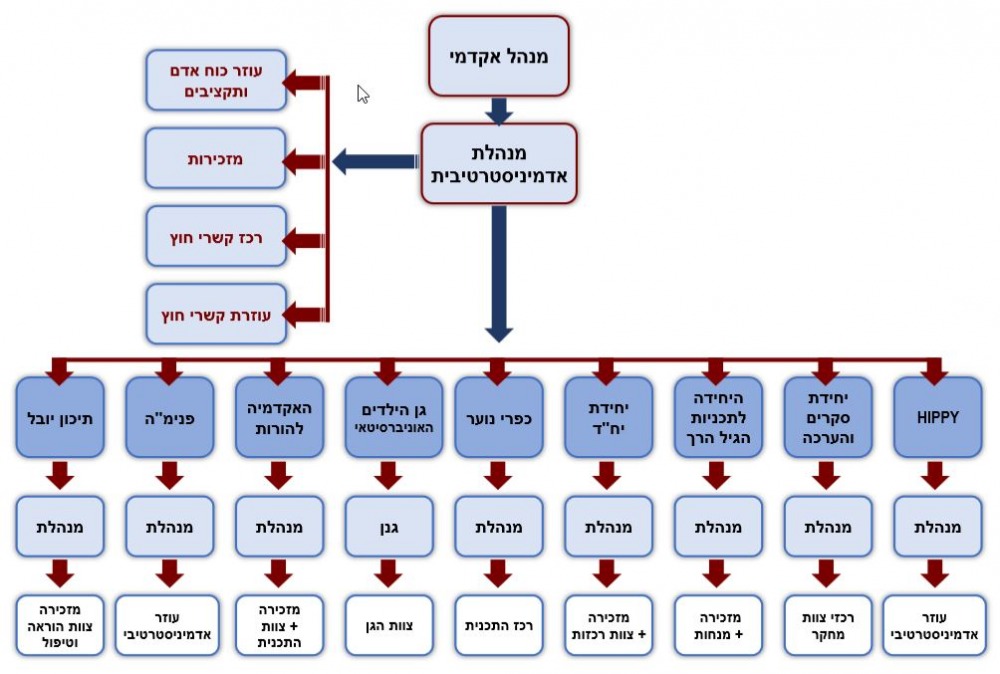 מבנה ארגוני