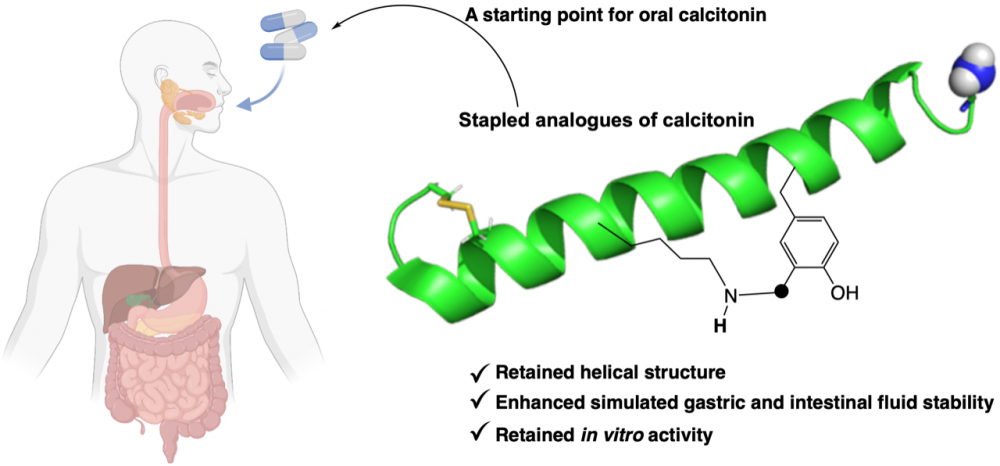 calcitonin