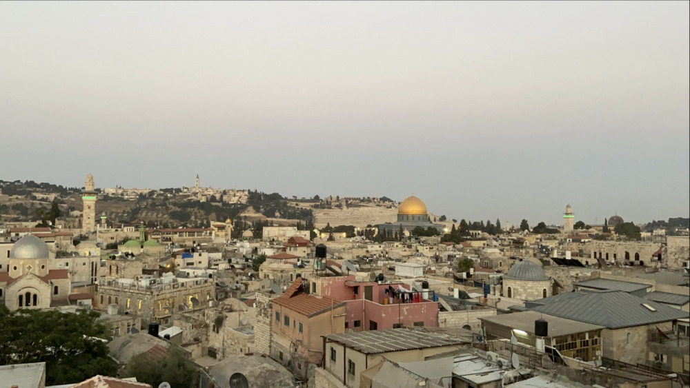 haneen_accompanying_photo.jpeg