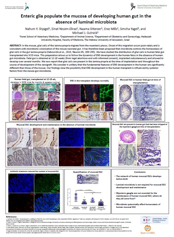 ENS2018_Poster