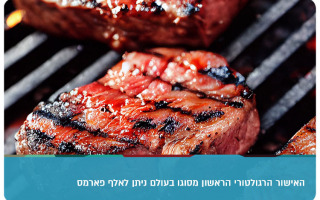 Aleph Farms Steak Approved