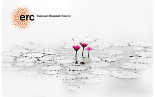 ERC Grant