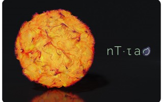 NT-Tao - Round A