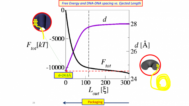 Ejection Free Energy 