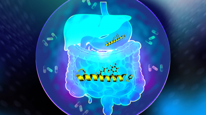 Chemoselective stapling of therapeutic proteins 