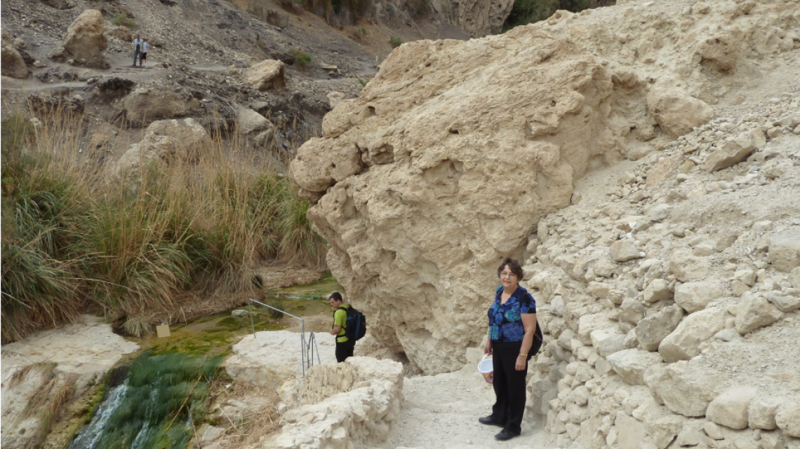 Wadi David, near Ein Gedi, 2015