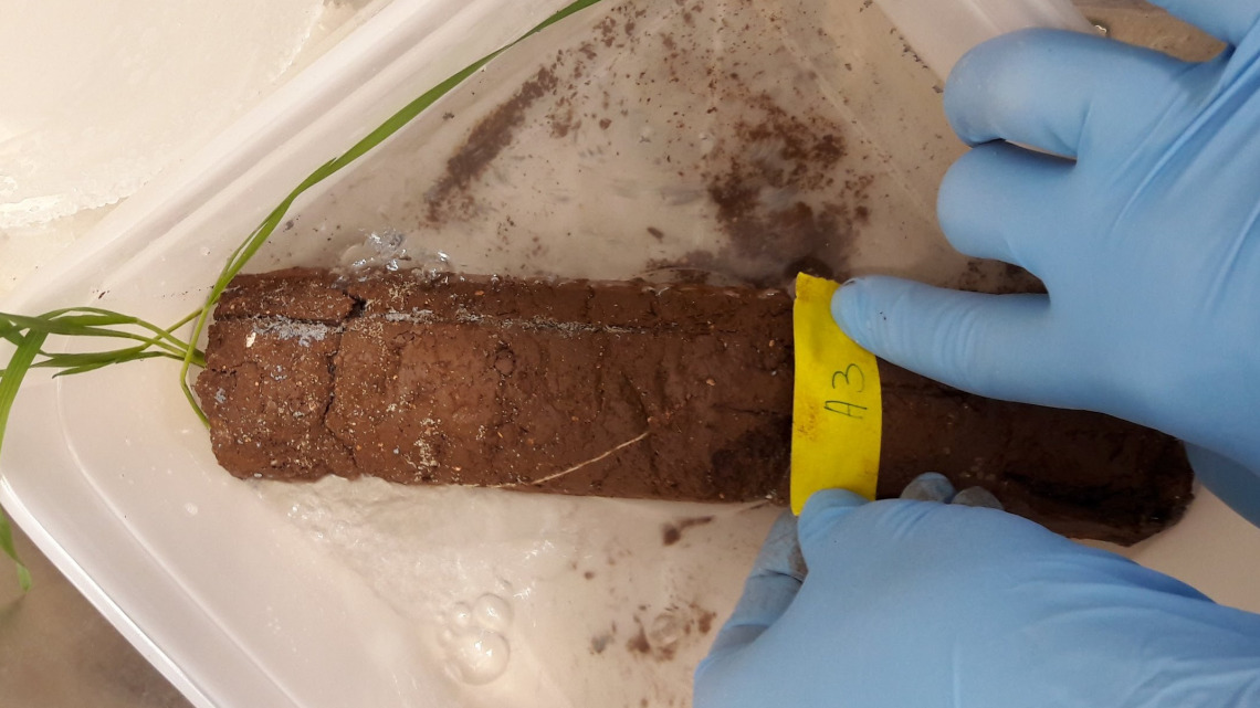 SoilPLant