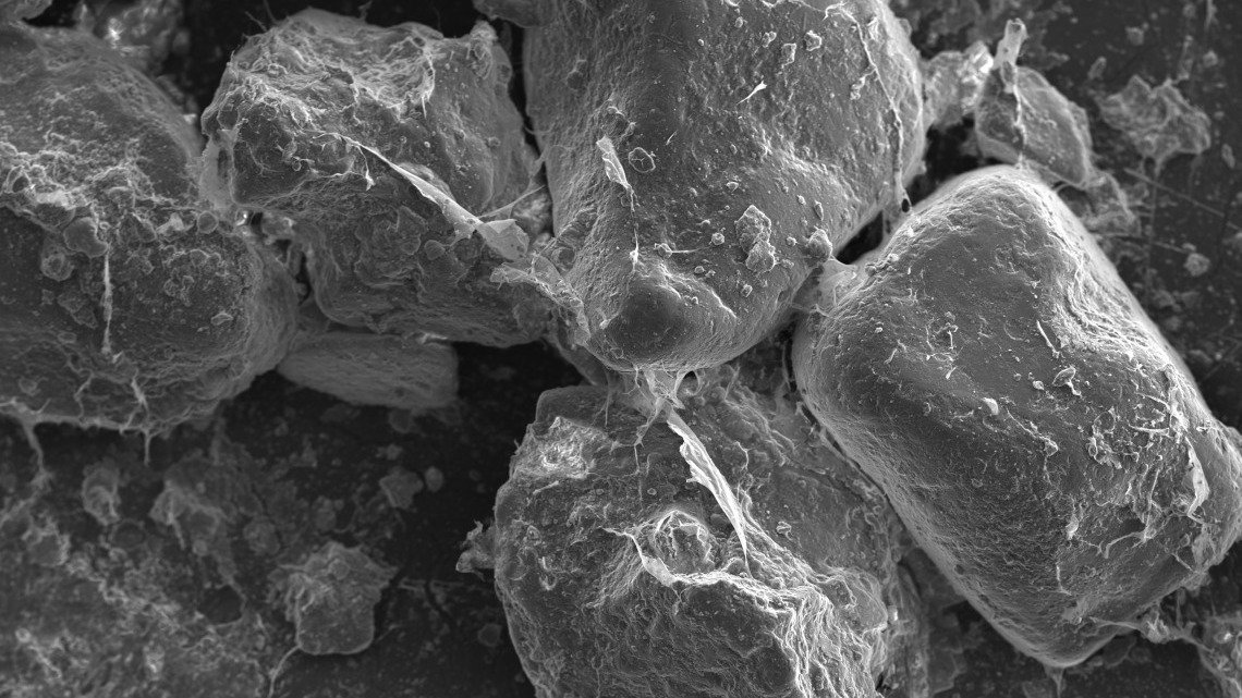 SEM soil mucilage