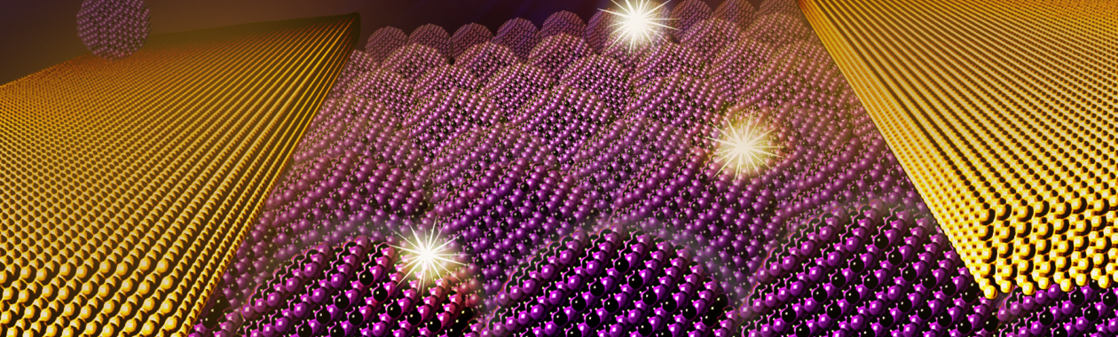 Printed Electronics