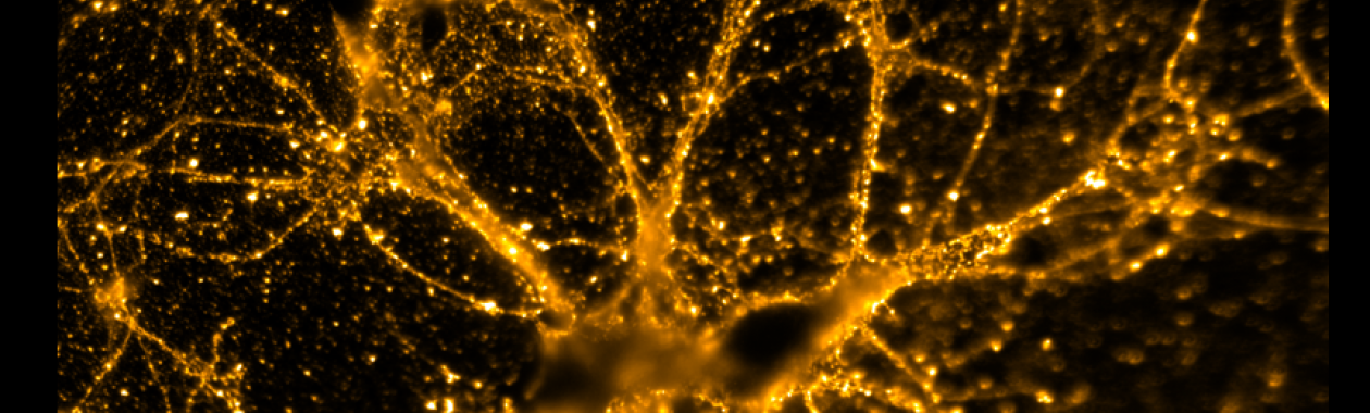 QRods_Neuron 