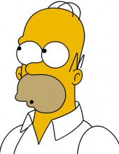 Homer 1 J Simpson