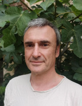 Mark Feldman