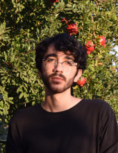 noam