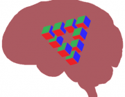 The translational Social Cognitive Affective Neuroscience Lab